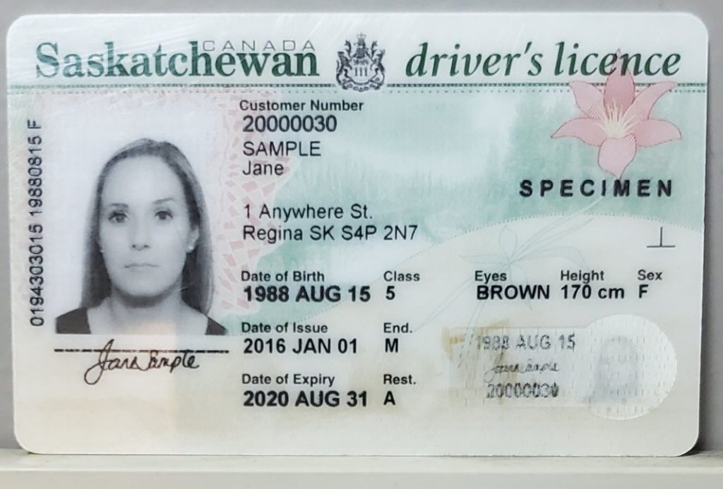 Buy Saskatchewan drivers licence