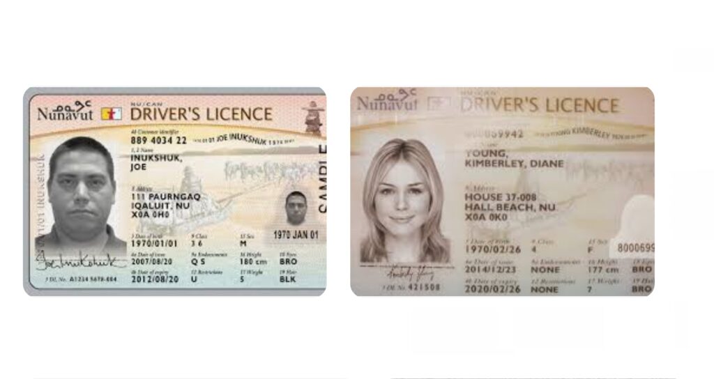 Buy Nunavut Driver License