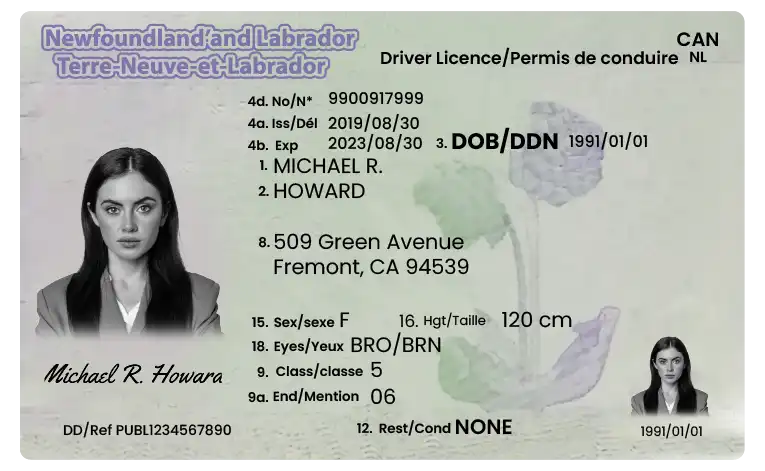 Buy Newfoundland and Labrador Driver Licence