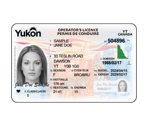Buy Yukon Driver Licence